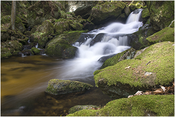 Ysperklamm